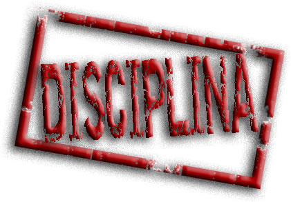 Disciplina En los Negocios Online